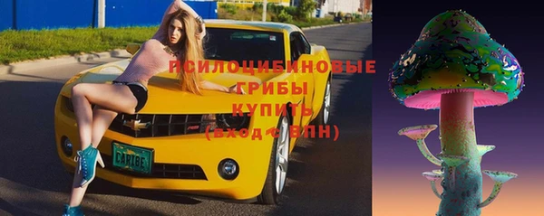 твердый Аркадак