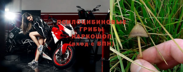 apvp Арсеньев