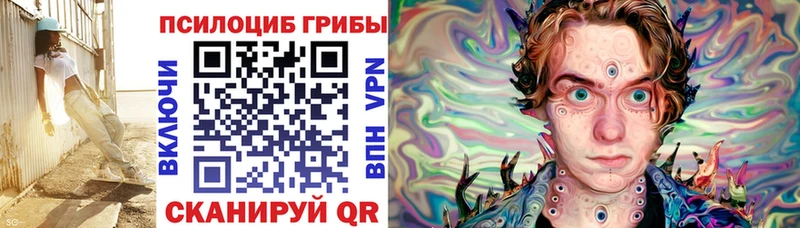 купить   даркнет формула  Псилоцибиновые грибы GOLDEN TEACHER  Сосенский 
